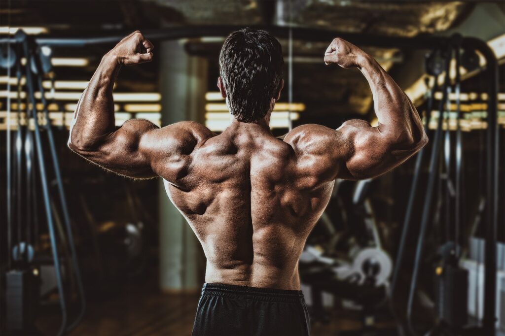 Handy Tips to Prepare for a Bodybuilding Competition