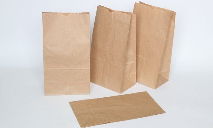 Why Are Wholesale Kraft Paper Bags A Better Choice For Your Business?