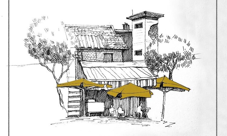 5 Things to Consider Before You Build a Tree House
