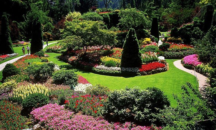 Primary Considerations of Modern Landscape Design Dallas