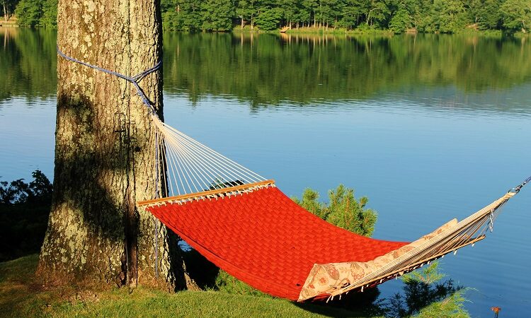 How do you keep bugs out of your hammock?