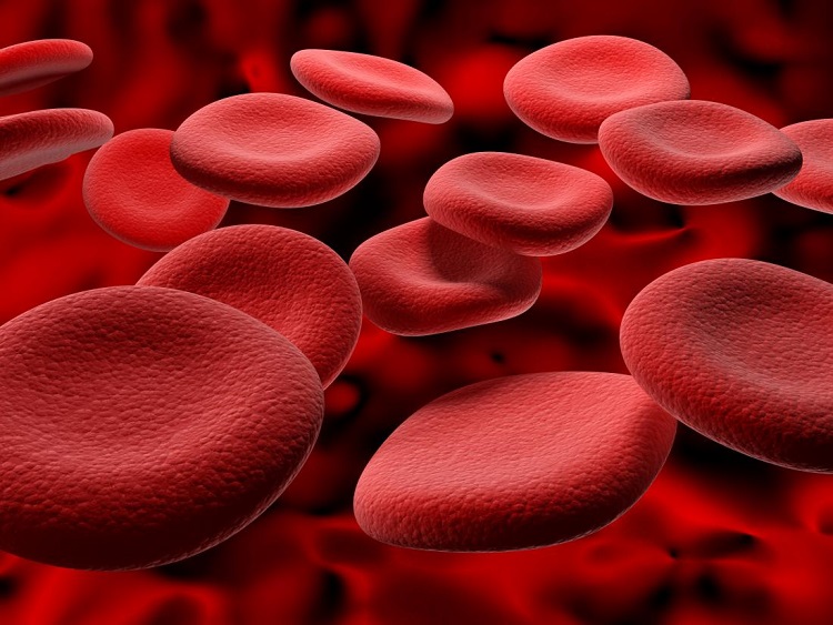 In order to keep away the hemoglobin deficiency, you should use the following food
