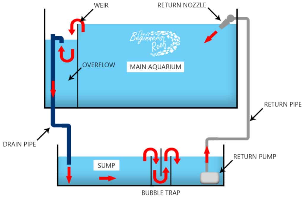 The most effective method to introduce a sump siphon