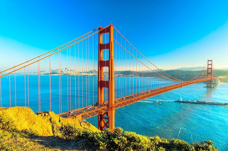 5 Unique things to do San Francisco