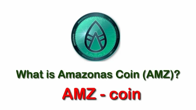 The Benefits of Amz Scale