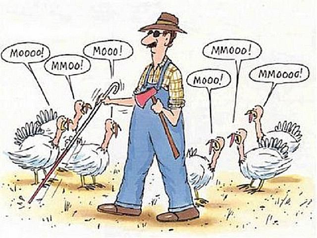 Images of Funny Thanksgiving: Adding Humor to the Holiday