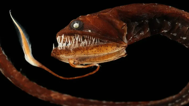Scariest Animals: Unveiling Nature’s Most Terrifying Creatures