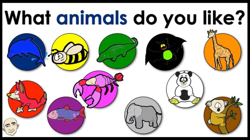 Which Animal Do You Look Like?