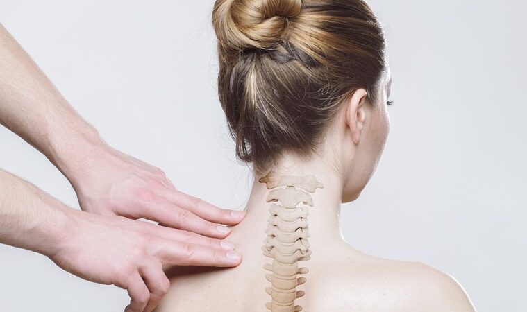 Chiropractic and Rehab: A Holistic Path to Healing and Recovery